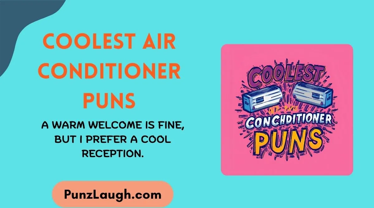 Coolest Air Conditioner Puns