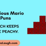 Hilarious Mario Puns