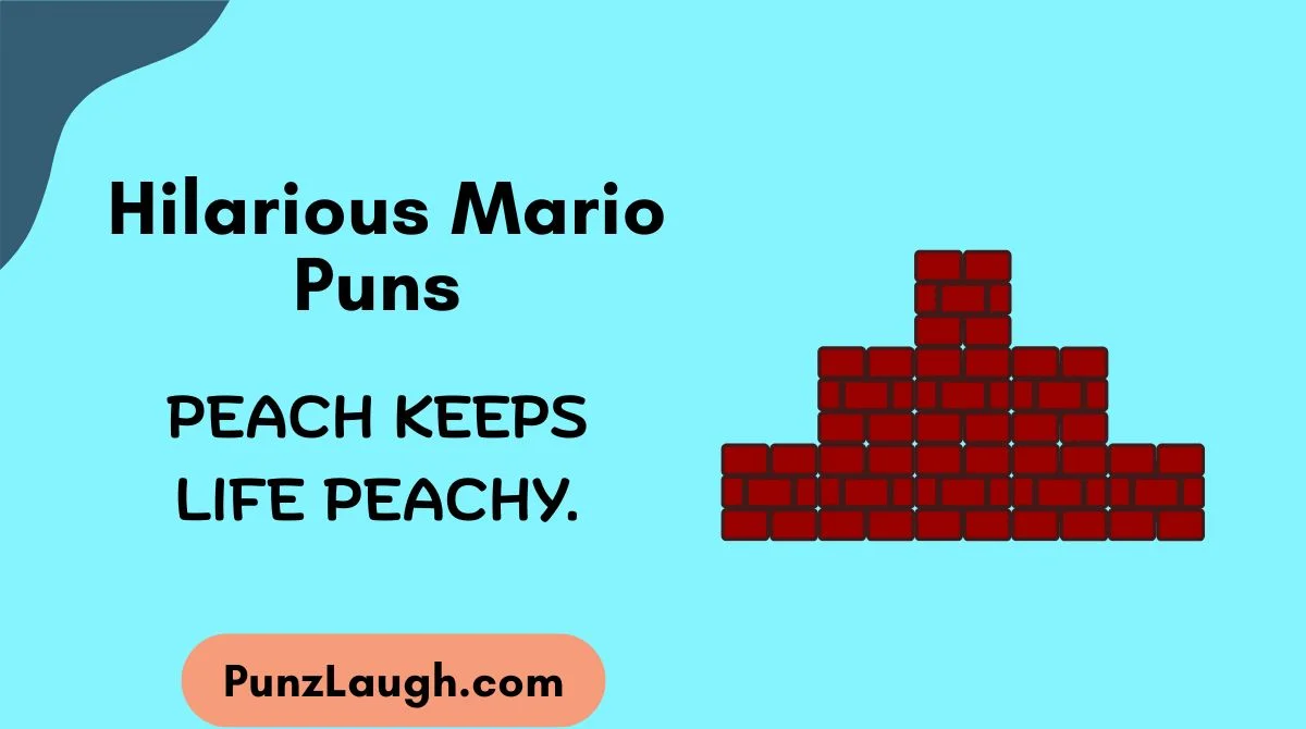 Hilarious Mario Puns