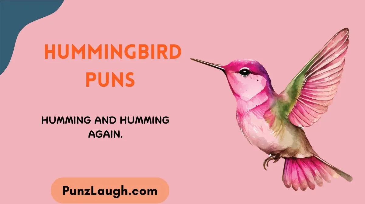 Hummingbird Puns