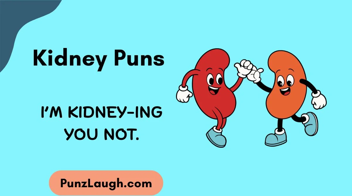 Kidney Puns