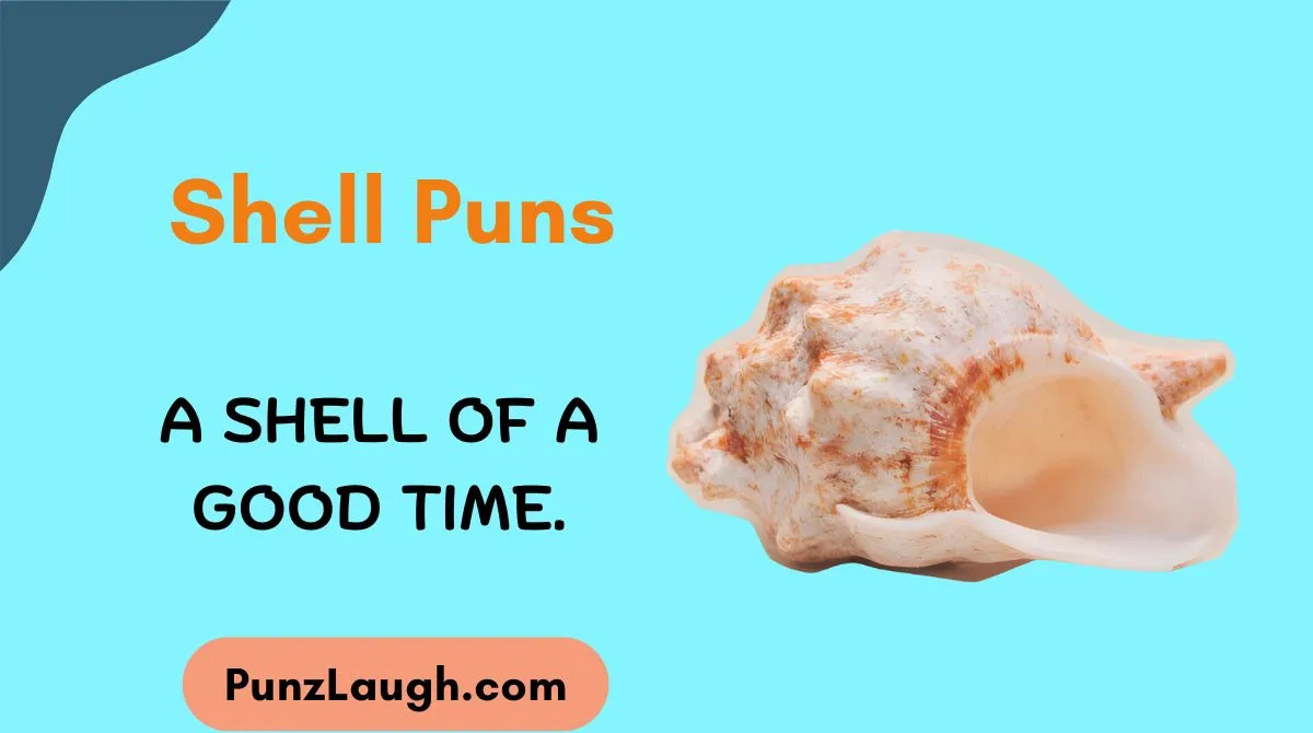 Shell Puns