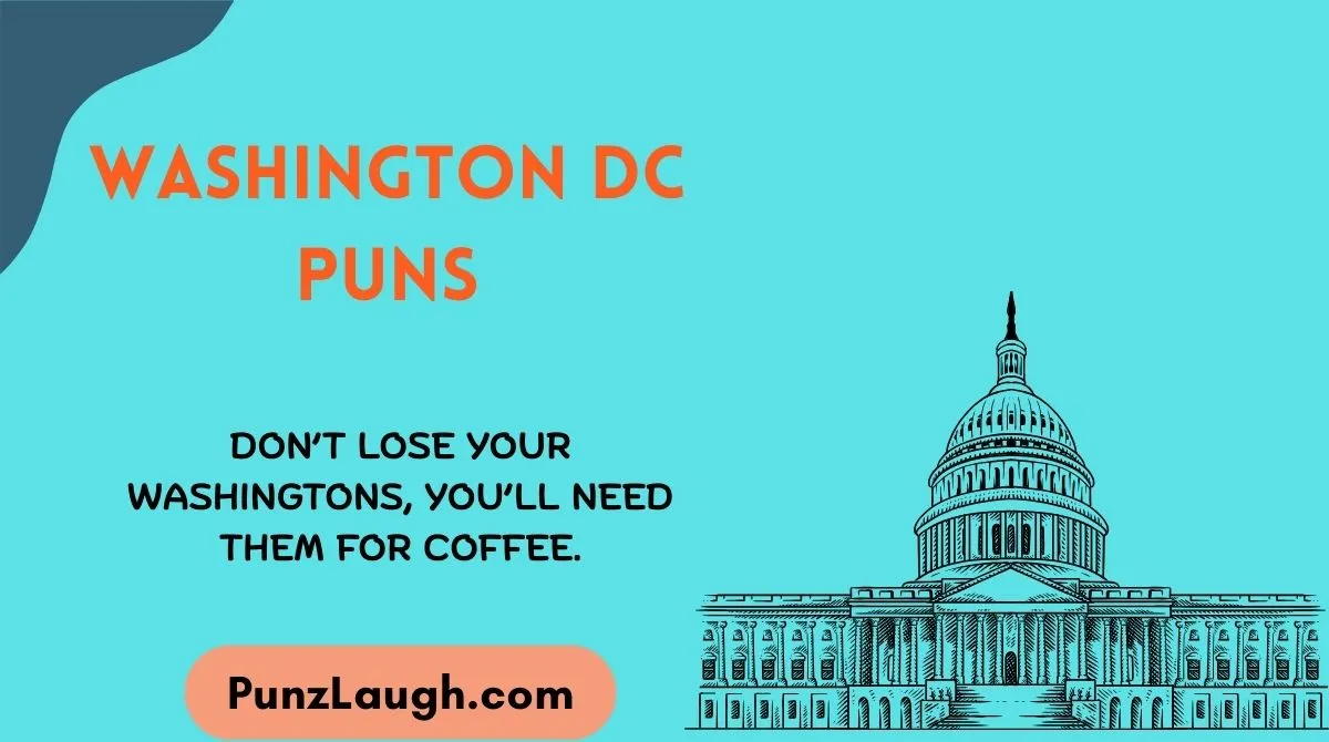 Washington DC Puns