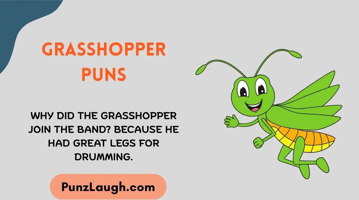 Grasshopper Puns