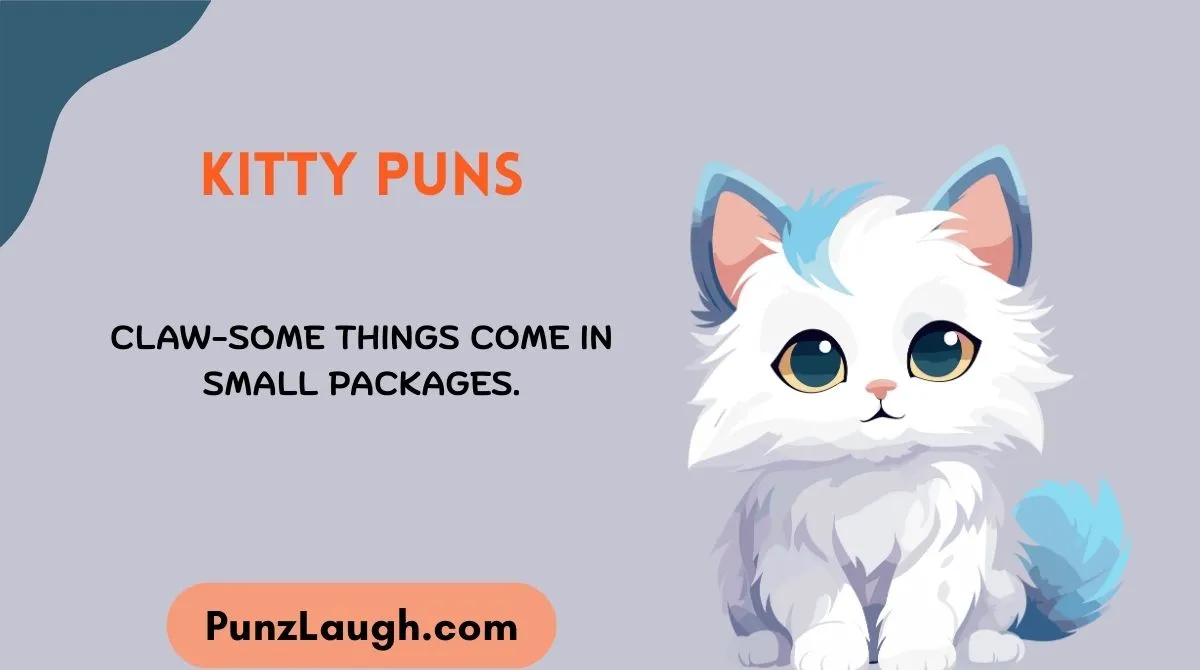 Kitty Puns