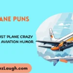Plane Puns
