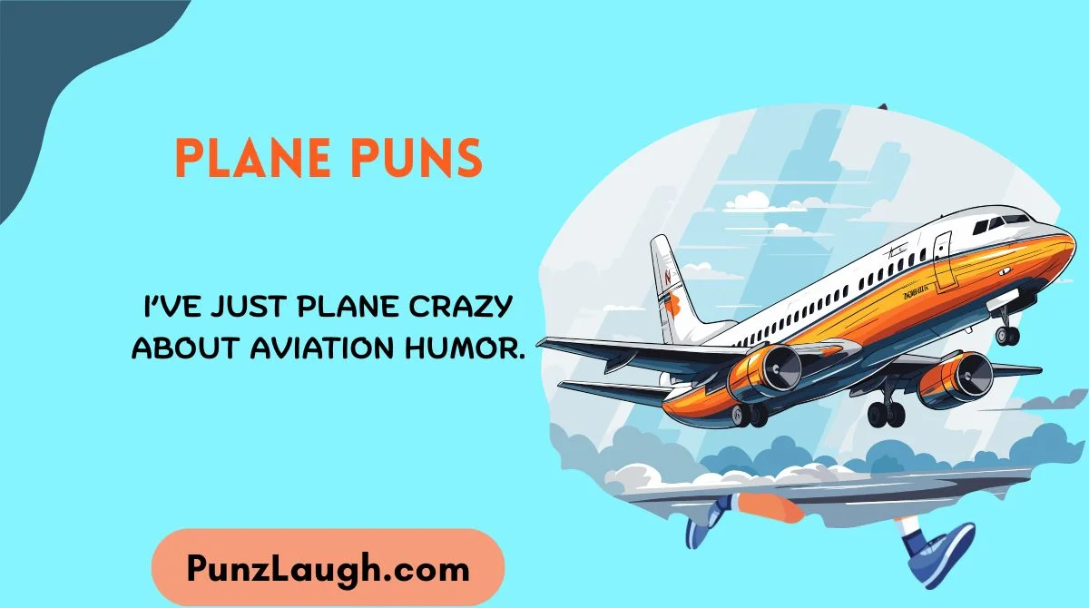 Plane Puns