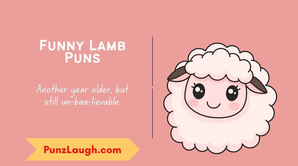 Funny Lamb Puns