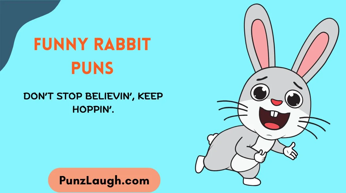 Funny Rabbit Puns