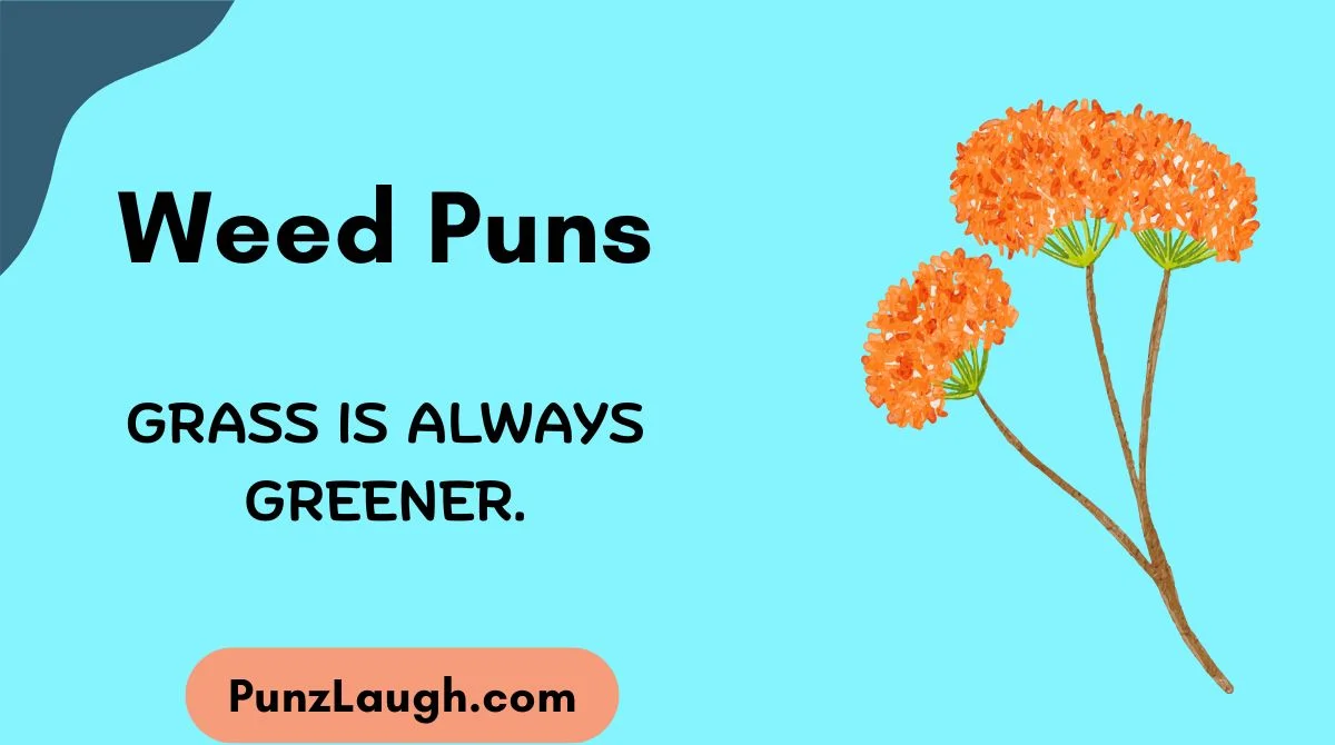 Weed Puns