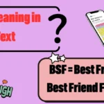 BSF Meaning in Text