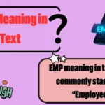 EMP Meaning in Text