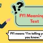 FYI Meaning in Text
