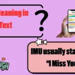 IMU Meaning in Text