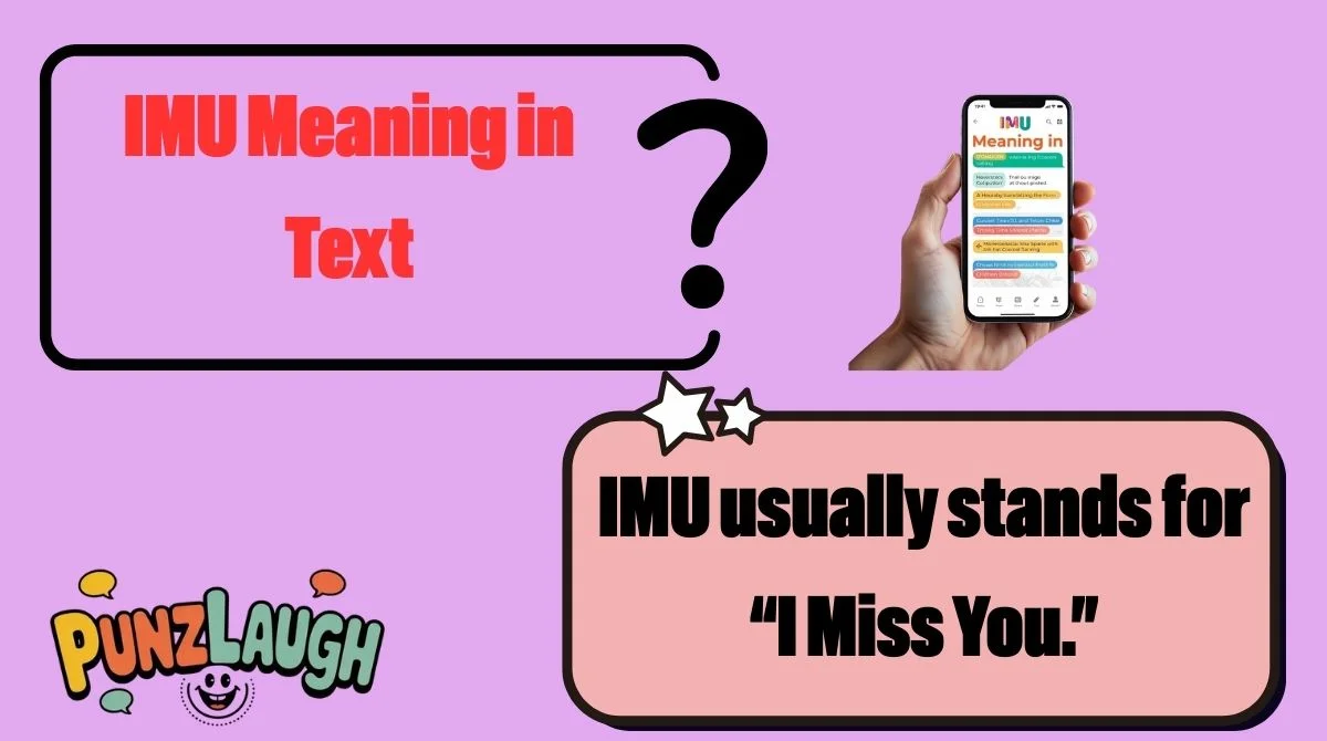 IMU Meaning in Text