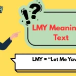 LMY Meaning in Text